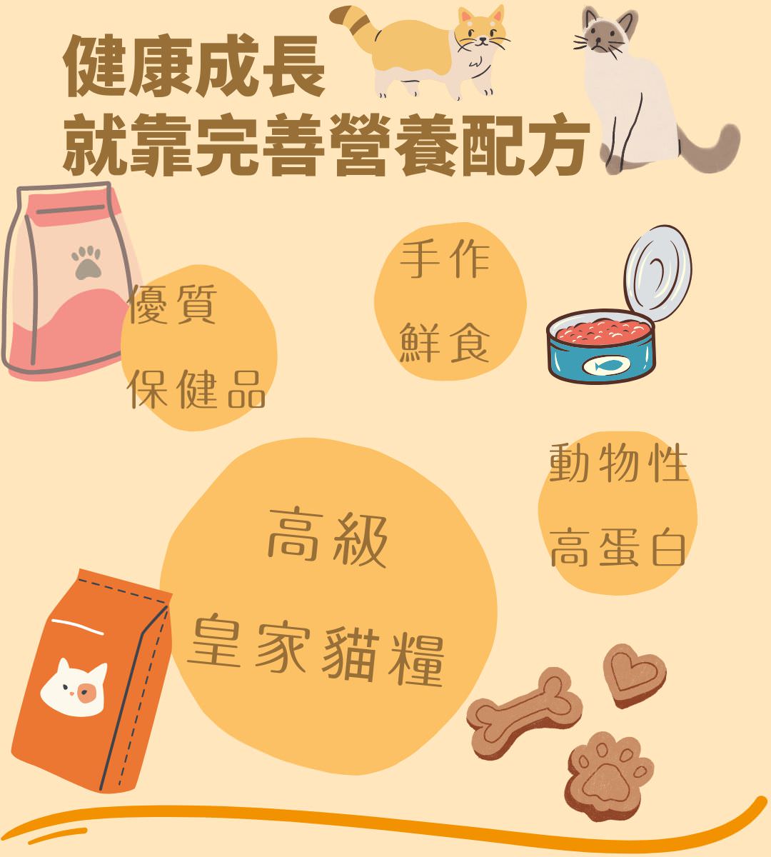 台北貓舍